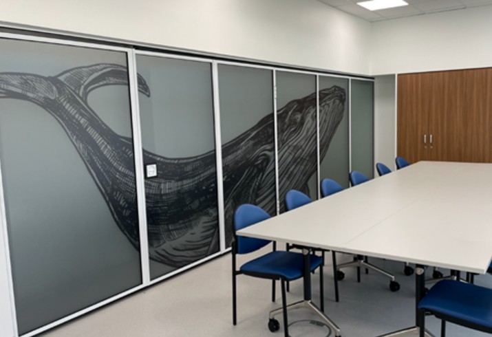 Glass panel with whale artwork in meeting room