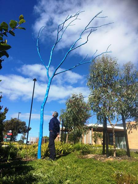 A community gathering at the launch of the blue tree.
