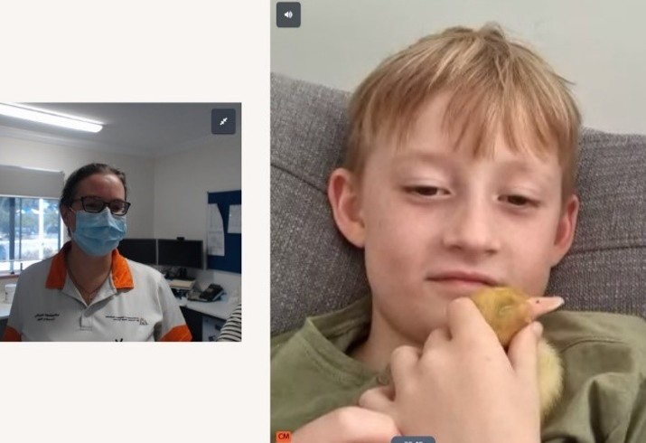 Split screen of boy holding duck and clinician in mask at health facility 